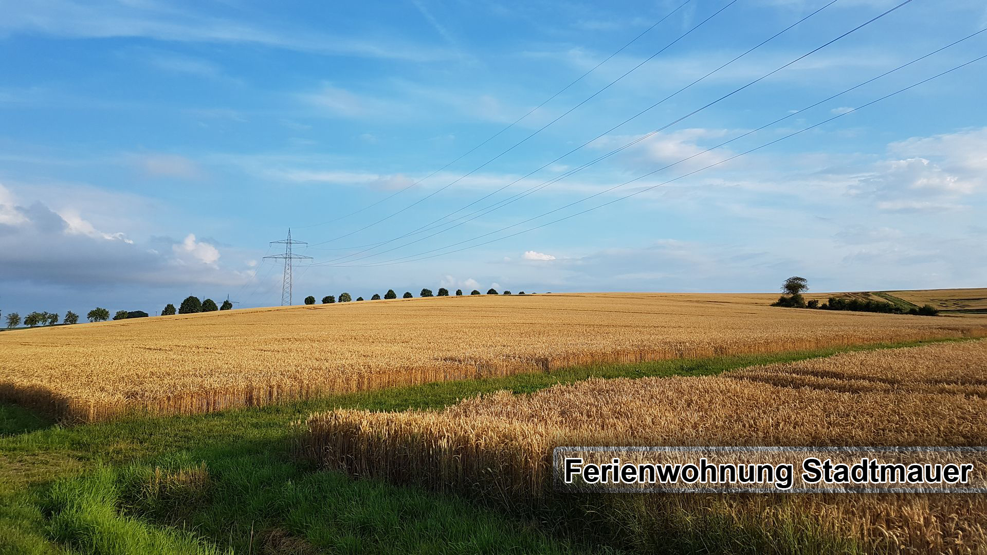 Neukirchen Stadtmauer