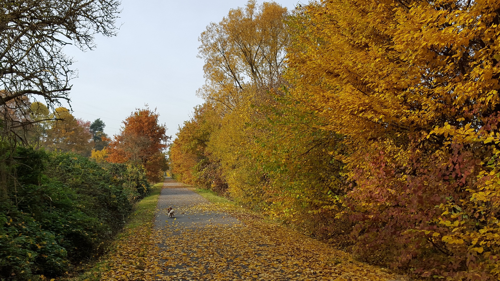 Neukirchen und Knüllgebirge – 20151030_1353010