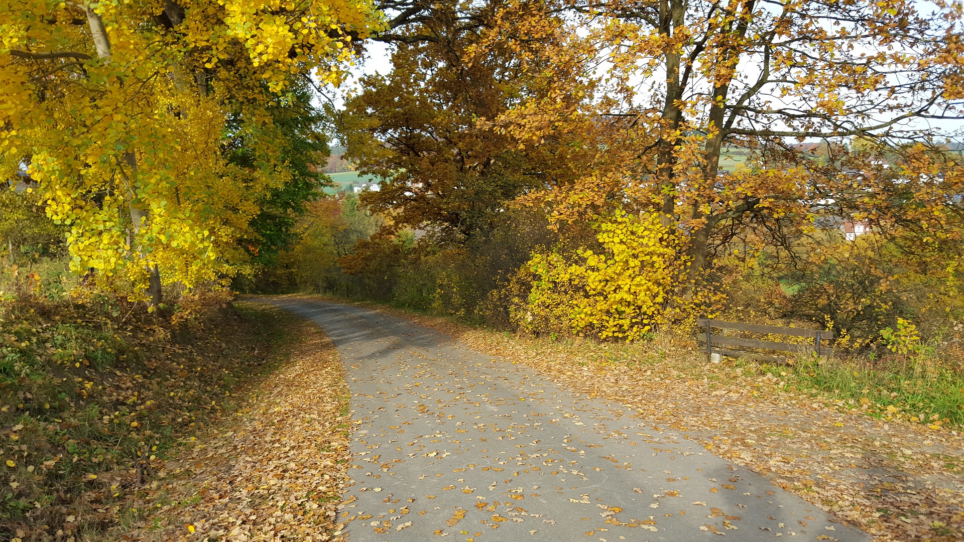 Neukirchen und Knüllgebirge – 20151030_140510