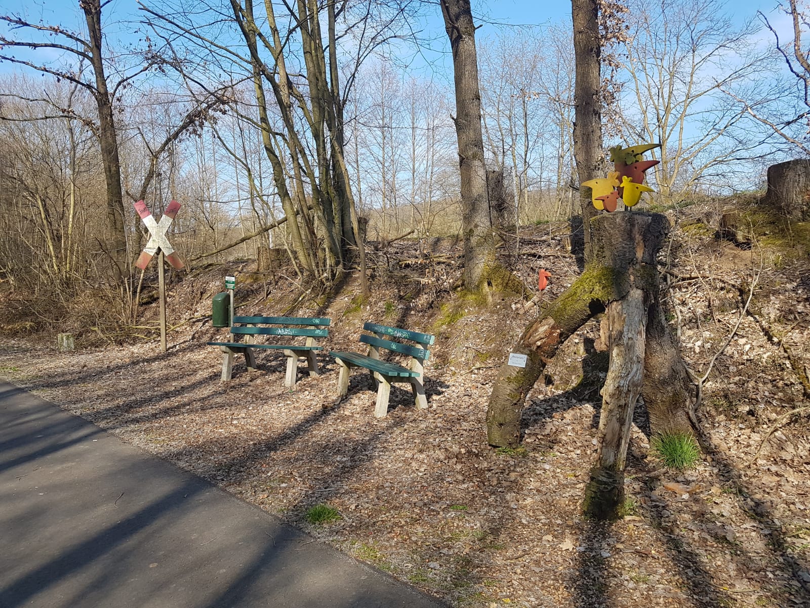 Neukirchen und Knüllgebirge – IMG-20190424-WA0013