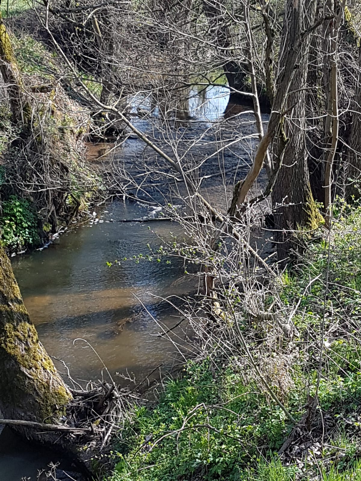 Neukirchen und Knüllgebirge – IMG-20190424-WA0019
