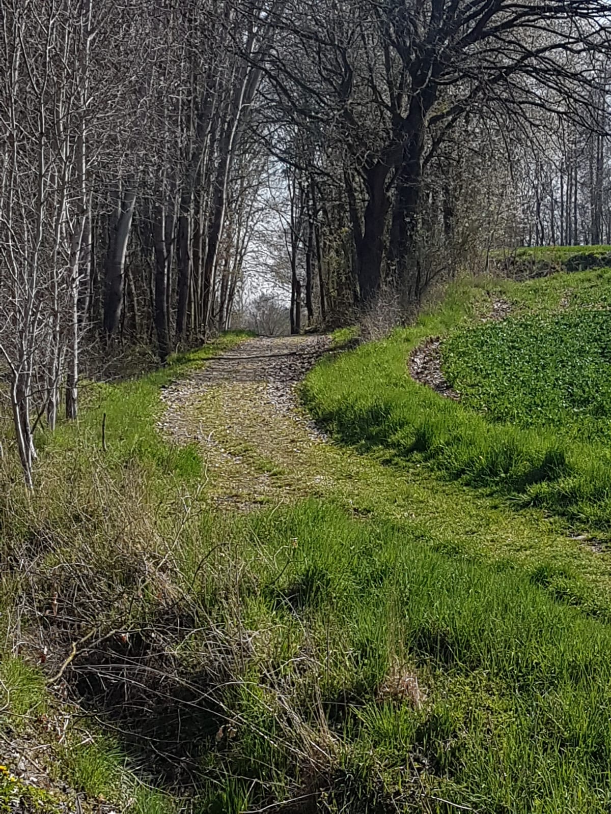 Neukirchen und Knüllgebirge – IMG-20190424-WA0026